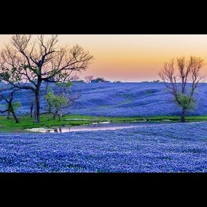 Meet your Posher, Shanea